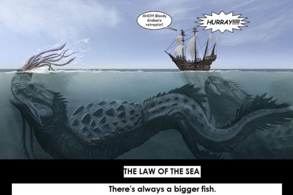 Kraken 24 at